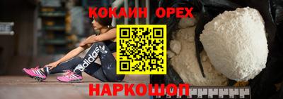 дмт Аргун