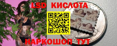 дмт Аргун