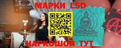 дмт Аргун