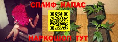 наркотики Абакан