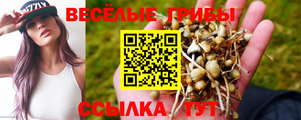 Псилоцибиновые грибы прущие грибы  Вход с VPN  Ангарск  Галлюциногенные грибы мухоморы 